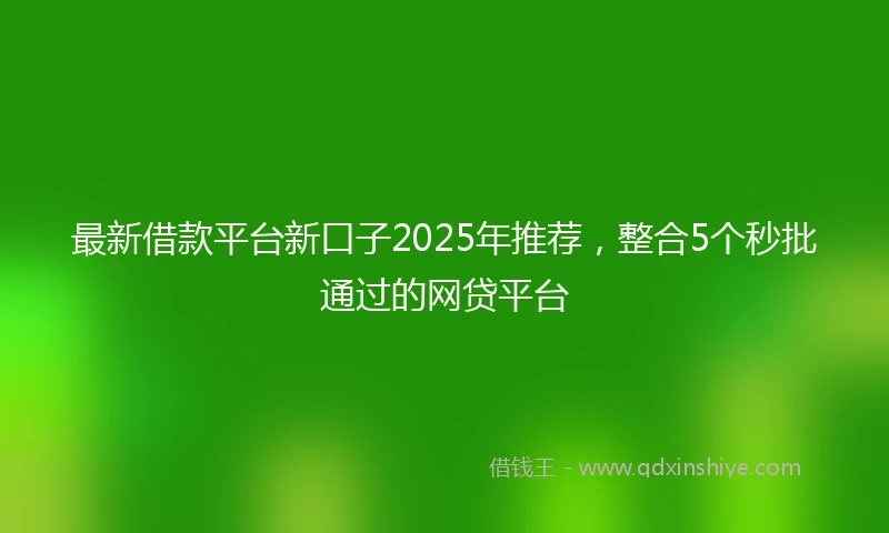 最新借款平台新口子2025年推荐，整合5个秒批通过的网贷平台