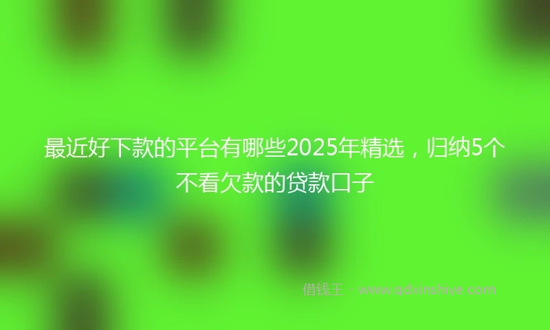 最近好下款的平台有哪些2025年精选,归纳5个不看欠款的贷款口子