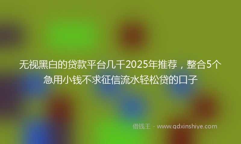 无视黑白的贷款平台几千2025年推荐，整合5个急用小钱不求征信流水轻松贷的口子