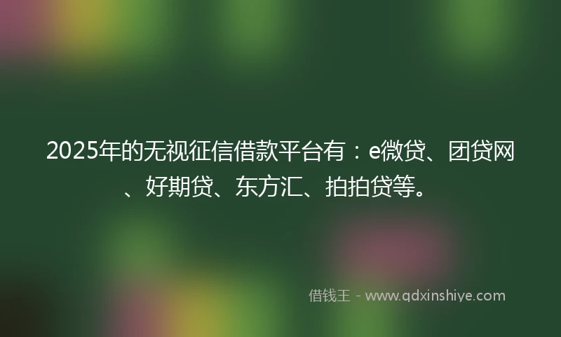2025年的无视征信借款平台有：e微贷、团贷网、好期贷、东方汇、拍拍贷等。
