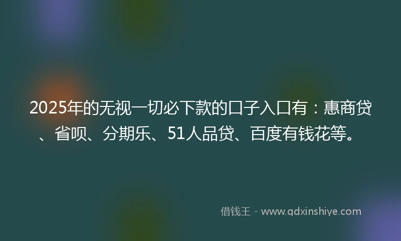 2025年的无视一切必下款的口子入口有：惠商贷、省呗、分期乐、51人品贷、百度有钱花等。