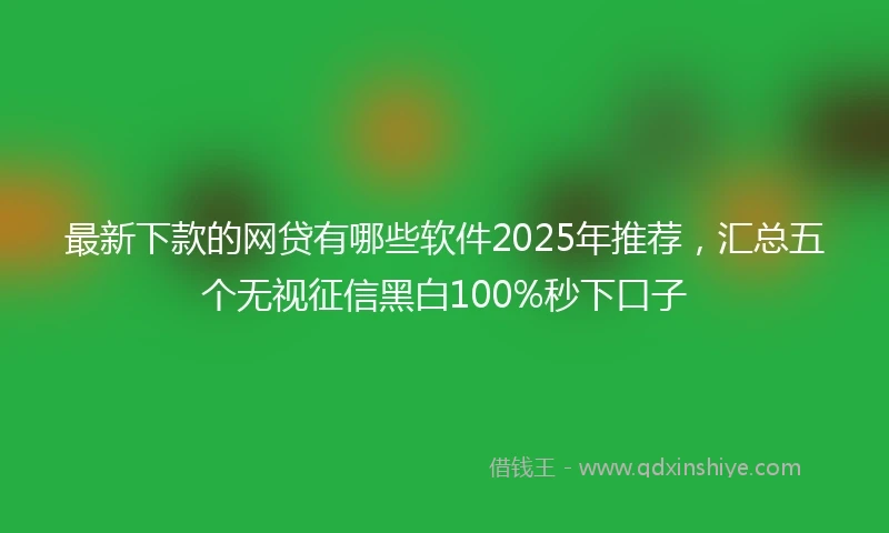 最新下款的网贷有哪些软件2025年推荐，汇总五个无视征信黑白100%秒下口子
