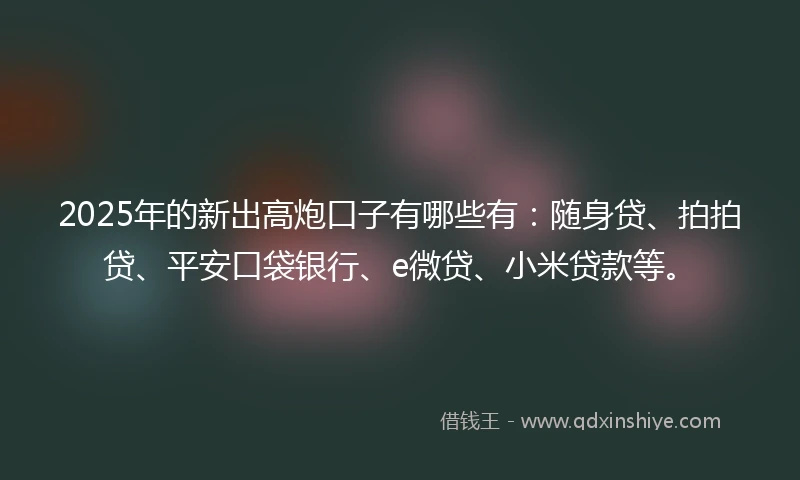 2025年的新出高炮口子有哪些有：随身贷、拍拍贷、平安口袋银行、e微贷、小米贷款等。