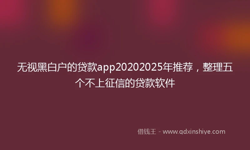 无视黑白户的贷款app20202025年推荐，整理五个不上征信的贷款软件