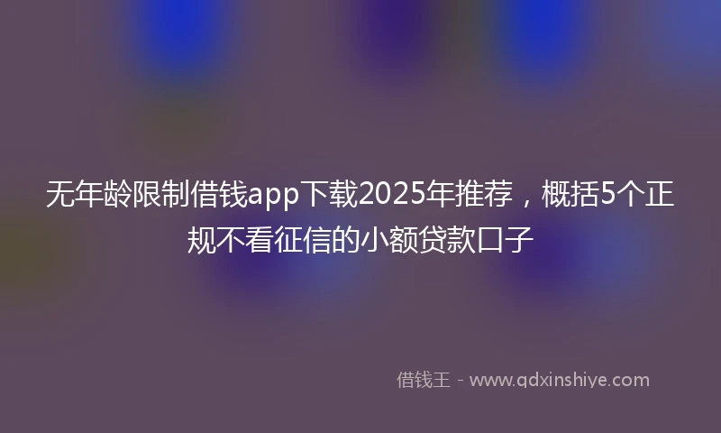 无年龄限制借钱app下载2025年推荐，概括5个正规不看征信的小额贷款口子