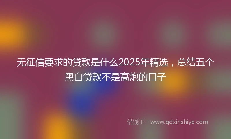 无征信要求的贷款是什么2025年精选，总结五个黑白贷款不是高炮的口子