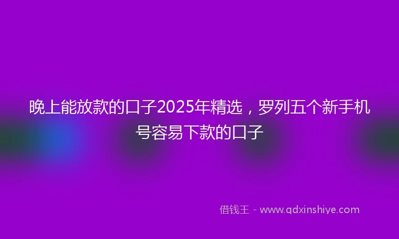 晚上能放款的口子2025年精选,罗列五个新手机号容易下款的口子