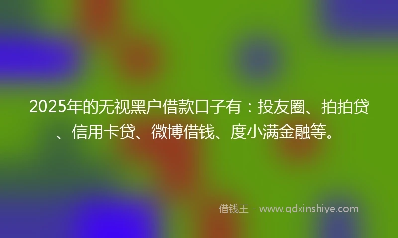 2025年的无视黑户借款口子有：投友圈、拍拍贷、信用卡贷、微博借钱、度小满金融等。