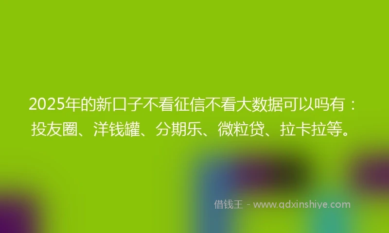 2025年的新口子不看征信不看大数据可以吗有:投友圈、洋钱罐、分期乐、微粒贷、拉卡拉等。