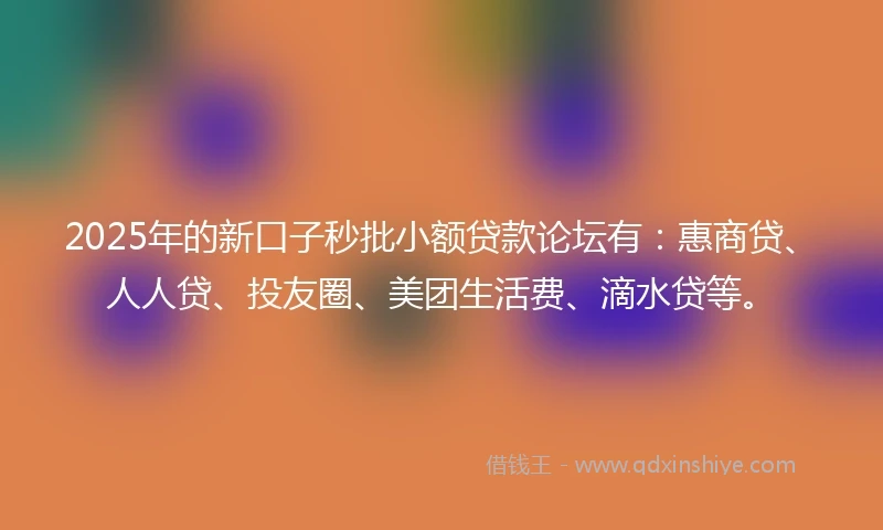 2025年的新口子秒批小额贷款论坛有：惠商贷、人人贷、投友圈、美团生活费、滴水贷等。