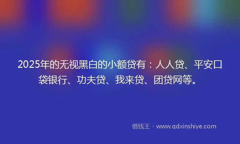 2025年的无视黑白的小额贷有：人人贷、平安口袋银行、功夫贷、我来贷、团贷网等。