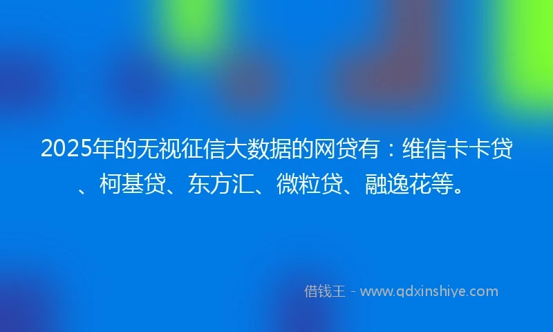 2025年的无视征信大数据的网贷有：维信卡卡贷、柯基贷、东方汇、微粒贷、融逸花等。