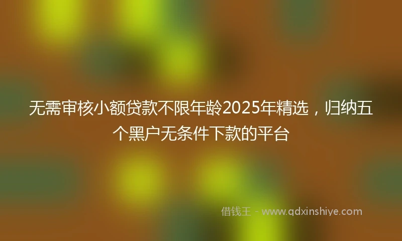 无需审核小额贷款不限年龄2025年精选，归纳五个黑户无条件下款的平台