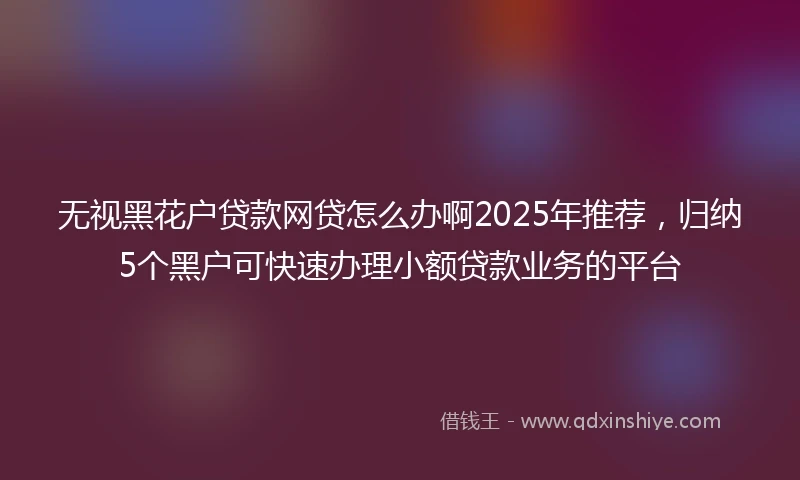 无视黑花户贷款网贷怎么办啊2025年推荐，归纳5个黑户可快速办理小额贷款业务的平台