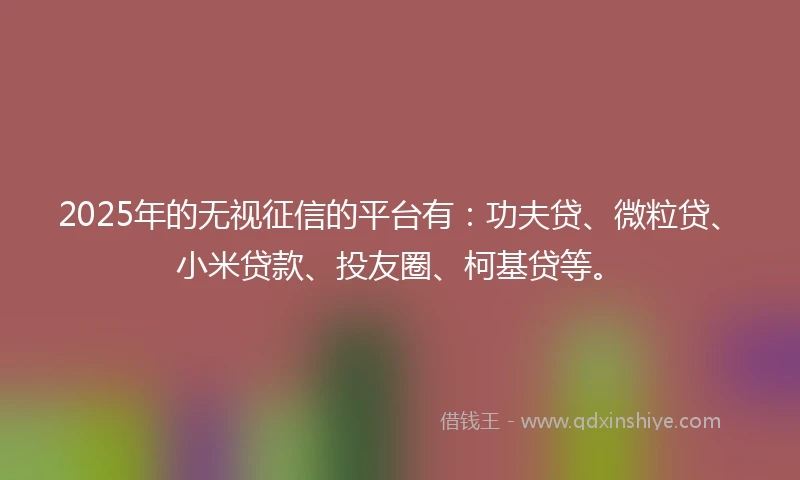 2025年的无视征信的平台有：功夫贷、微粒贷、小米贷款、投友圈、柯基贷等。