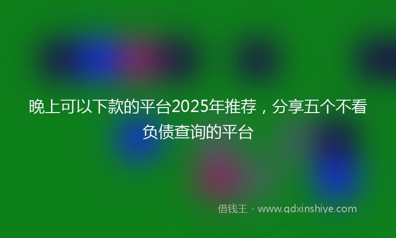 晚上可以下款的平台2025年推荐，分享五个不看负债查询的平台
