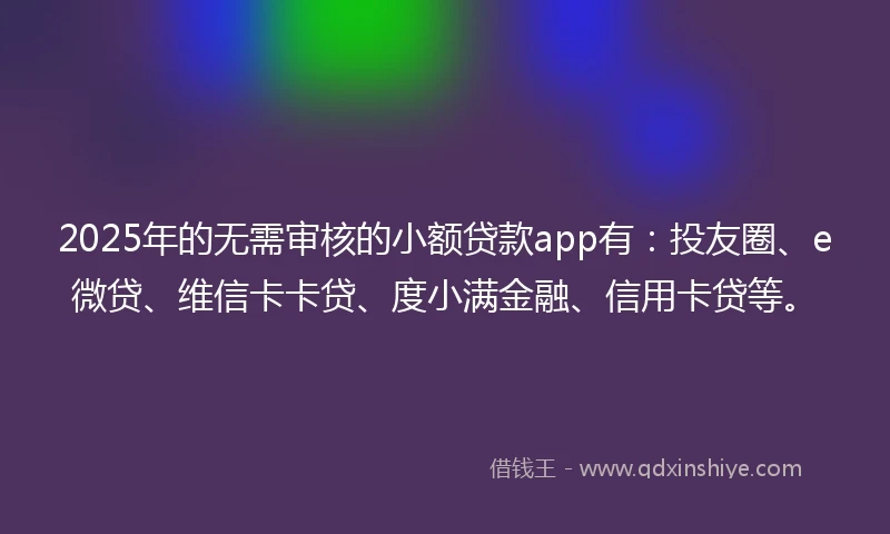 2025年的无需审核的小额贷款app有：投友圈、e微贷、维信卡卡贷、度小满金融、信用卡贷等。