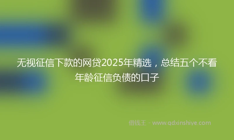 无视征信下款的网贷2025年精选，总结五个不看年龄征信负债的口子