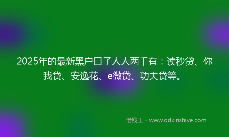 2025年的最新黑户口子人人两千有:读秒贷、你我贷、安逸花、e微贷、功夫贷等。