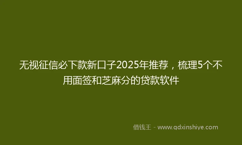 无视征信必下款新口子2025年推荐，梳理5个不用面签和芝麻分的贷款软件