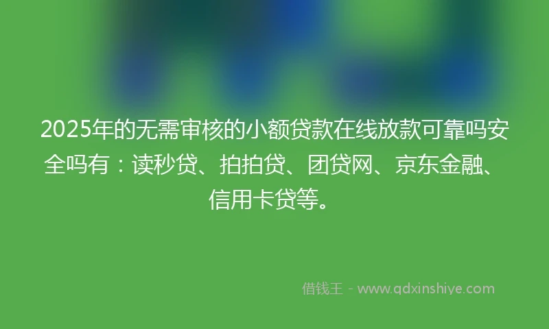 2025年的无需审核的小额贷款在线放款可靠吗安全吗有：读秒贷、拍拍贷、团贷网、京东金融、信用卡贷等。