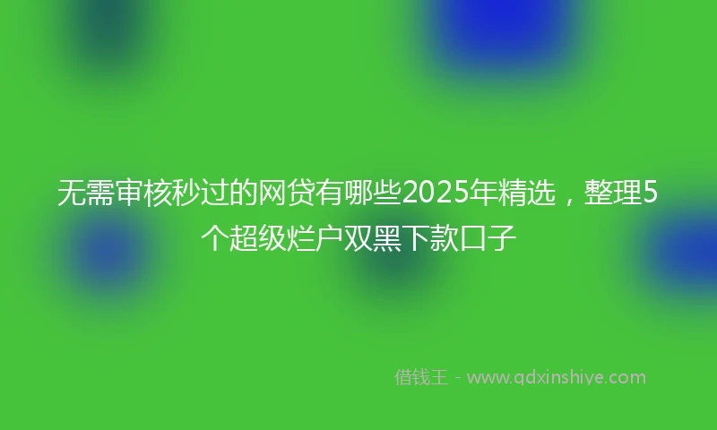 无需审核秒过的网贷有哪些2025年精选，整理5个超级烂户双黑下款口子
