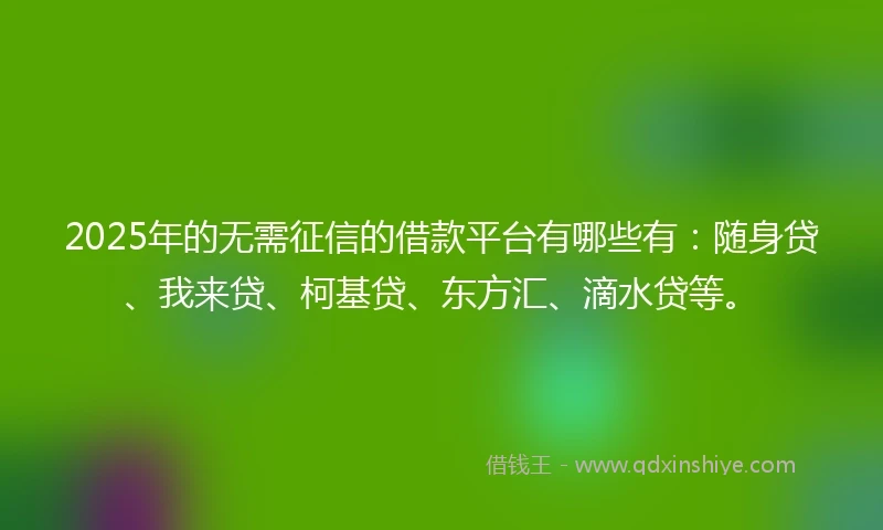 2025年的无需征信的借款平台有哪些有：随身贷、我来贷、柯基贷、东方汇、滴水贷等。