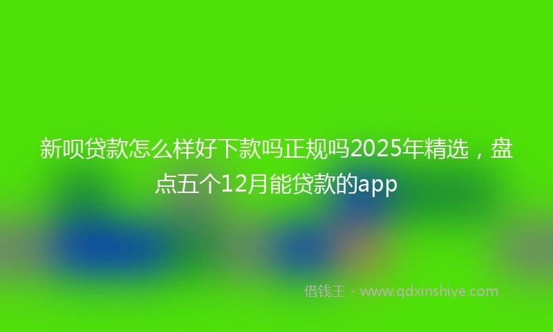 新呗贷款怎么样好下款吗正规吗2025年精选，盘点五个12月能贷款的app