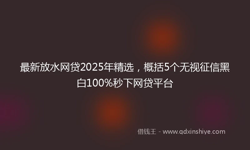 最新放水网贷2025年精选，概括5个无视征信黑白100%秒下网贷平台