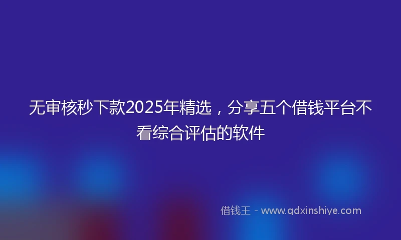 无审核秒下款2025年精选，分享五个借钱平台不看综合评估的软件