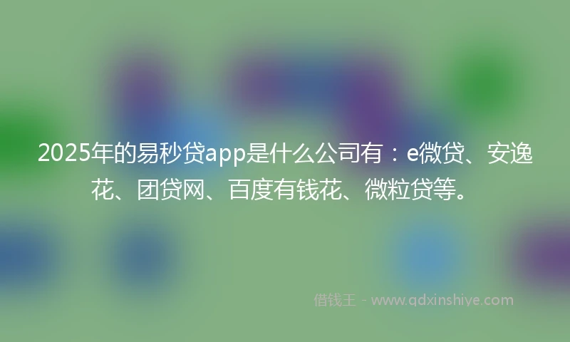 2025年的易秒贷app是什么公司有：e微贷、安逸花、团贷网、百度有钱花、微粒贷等。