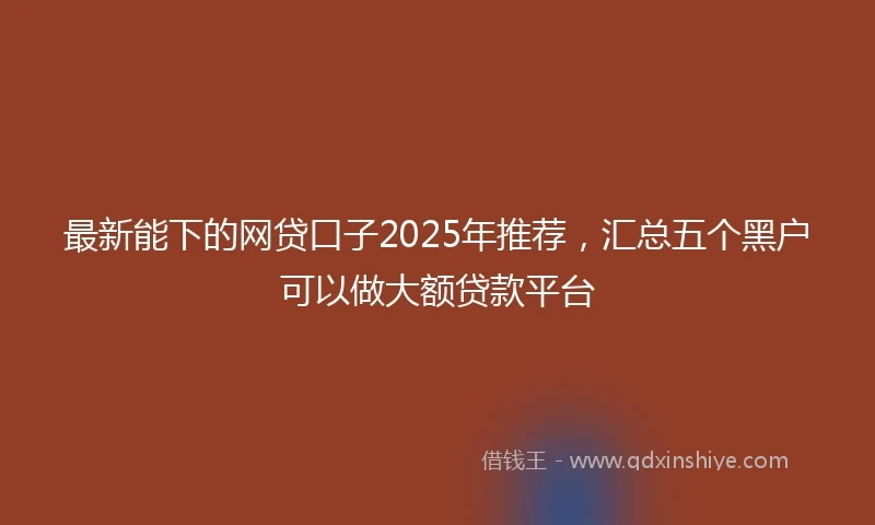 最新能下的网贷口子2025年推荐，汇总五个黑户可以做大额贷款平台