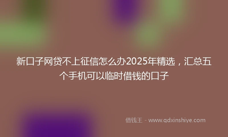 新口子网贷不上征信怎么办2025年精选，汇总五个手机可以临时借钱的口子