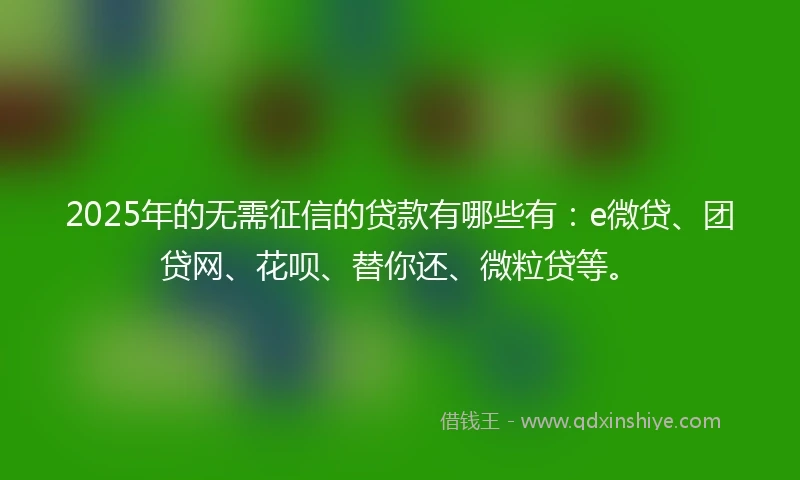 2025年的无需征信的贷款有哪些有：e微贷、团贷网、花呗、替你还、微粒贷等。