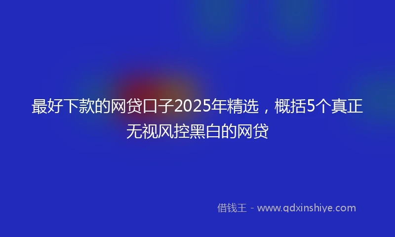 最好下款的网贷口子2025年精选，概括5个真正无视风控黑白的网贷