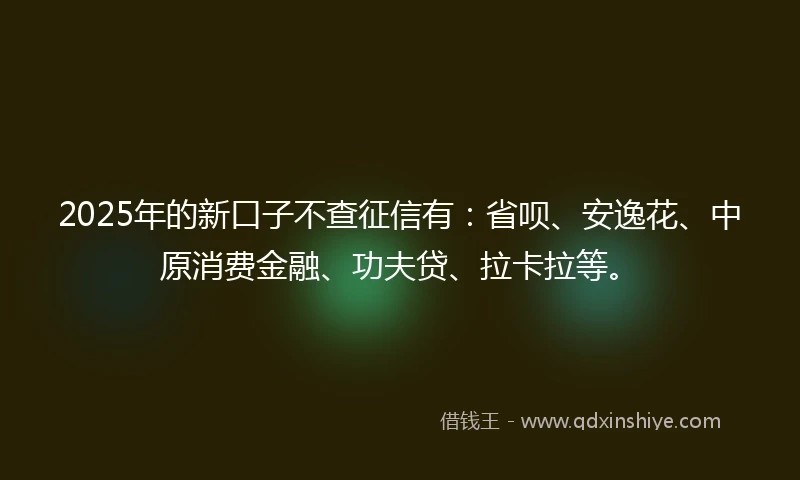 2025年的新口子不查征信有：省呗、安逸花、中原消费金融、功夫贷、拉卡拉等。