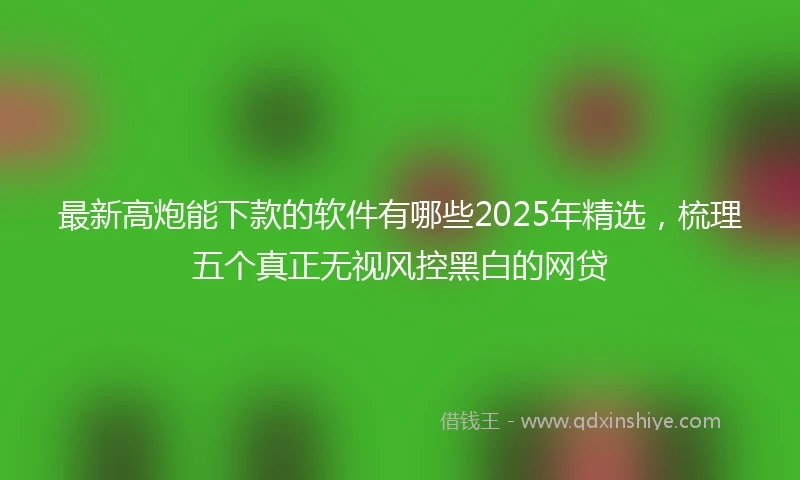 最新高炮能下款的软件有哪些2025年精选，梳理五个真正无视风控黑白的网贷