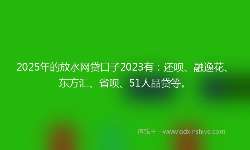 2025年的放水网贷口子2023有：还呗、融逸花、东方汇、省呗、51人品贷等。