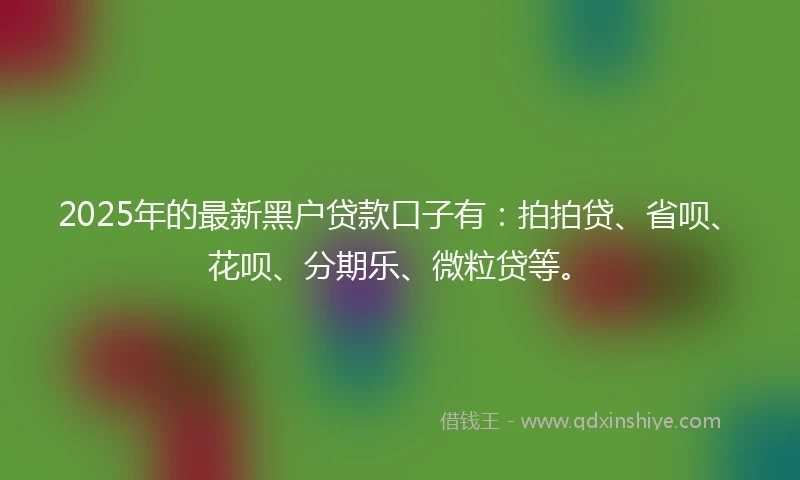 2025年的最新黑户贷款口子有:拍拍贷、省呗、花呗、分期乐、微粒贷等。