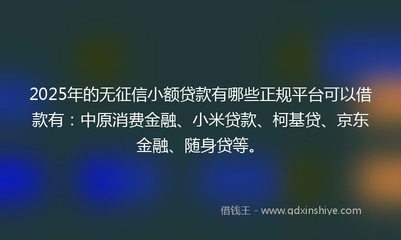 2025年的无征信小额贷款有哪些正规平台可以借款有：中原消费金融、小米贷款、柯基贷、京东金融、随身贷等。