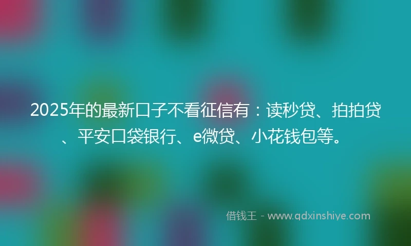 2025年的最新口子不看征信有：读秒贷、拍拍贷、平安口袋银行、e微贷、小花钱包等。