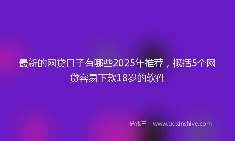 最新的网贷口子有哪些2025年推荐,概括5个网贷容易下款18岁的软件