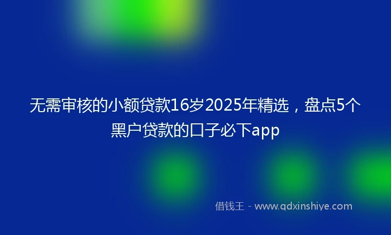 无需审核的小额贷款16岁2025年精选，盘点5个黑户贷款的口子必下app