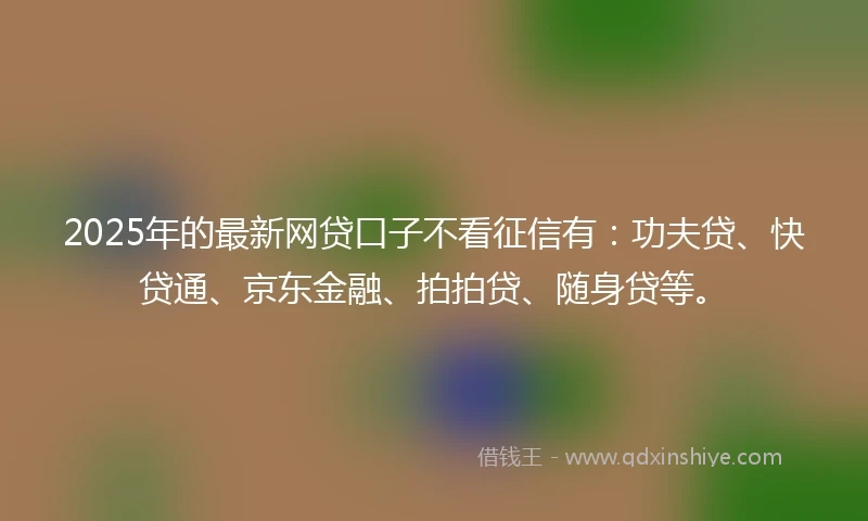 2025年的最新网贷口子不看征信有：功夫贷、快贷通、京东金融、拍拍贷、随身贷等。