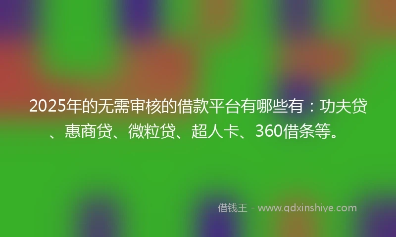 2025年的无需审核的借款平台有哪些有：功夫贷、惠商贷、微粒贷、超人卡、360借条等。