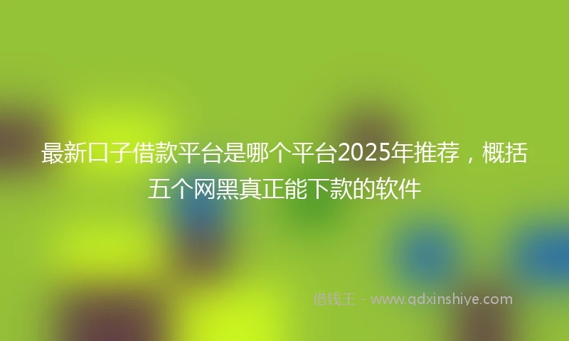 最新口子借款平台是哪个平台2025年推荐,概括五个网黑真正能下款的软件