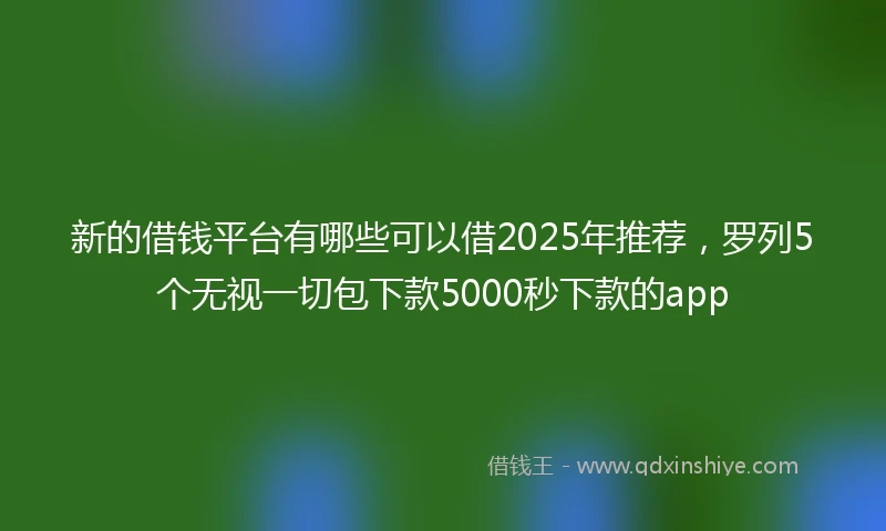 新的借钱平台有哪些可以借2025年推荐，罗列5个无视一切包下款5000秒下款的app