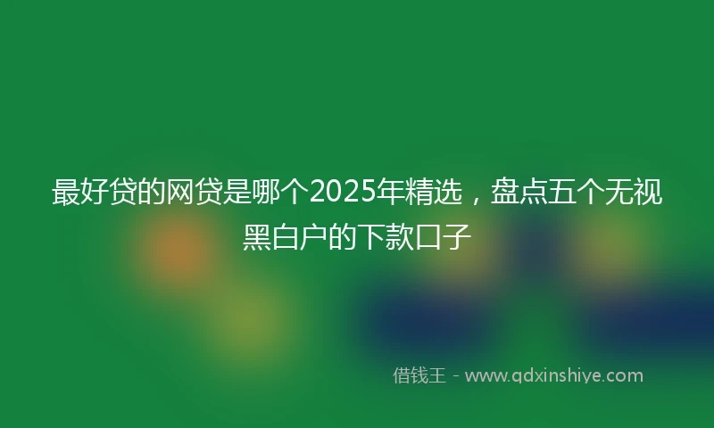 最好贷的网贷是哪个2025年精选，盘点五个无视黑白户的下款口子