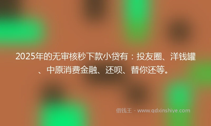 2025年的无审核秒下款小贷有：投友圈、洋钱罐、中原消费金融、还呗、替你还等。
