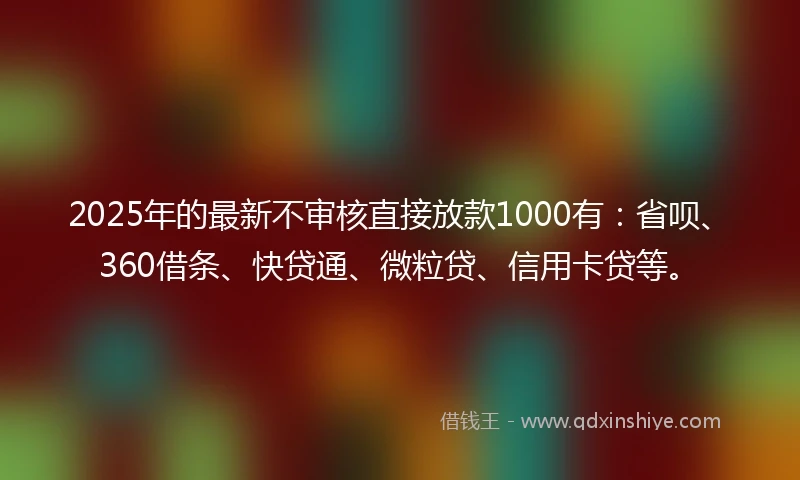 2025年的最新不审核直接放款1000有：省呗、360借条、快贷通、微粒贷、信用卡贷等。